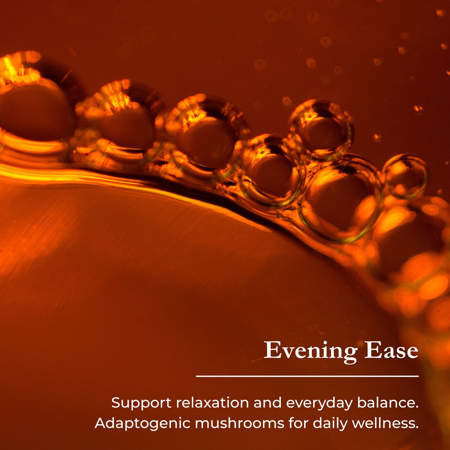 Evening Ease – Reishi Calm Drops