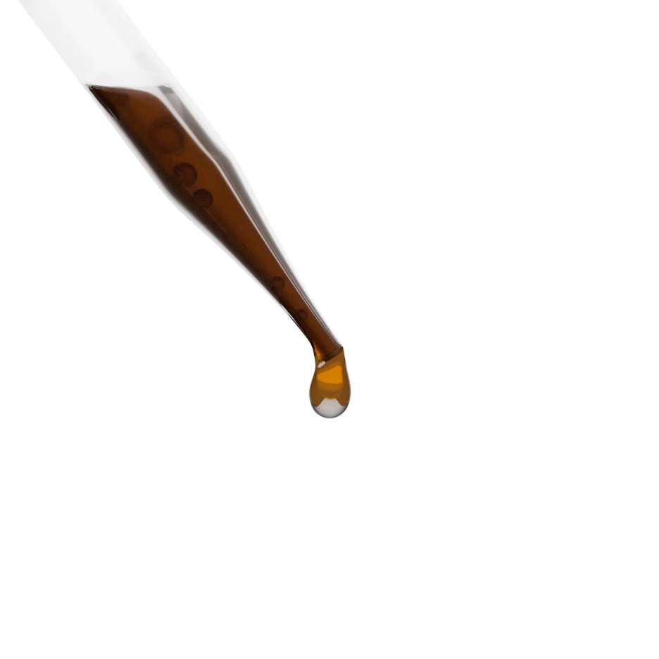 Evening Ease – Reishi Calm Drops